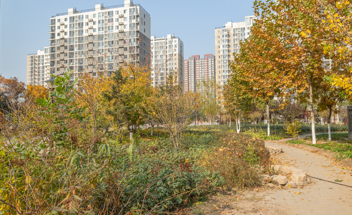 实景图