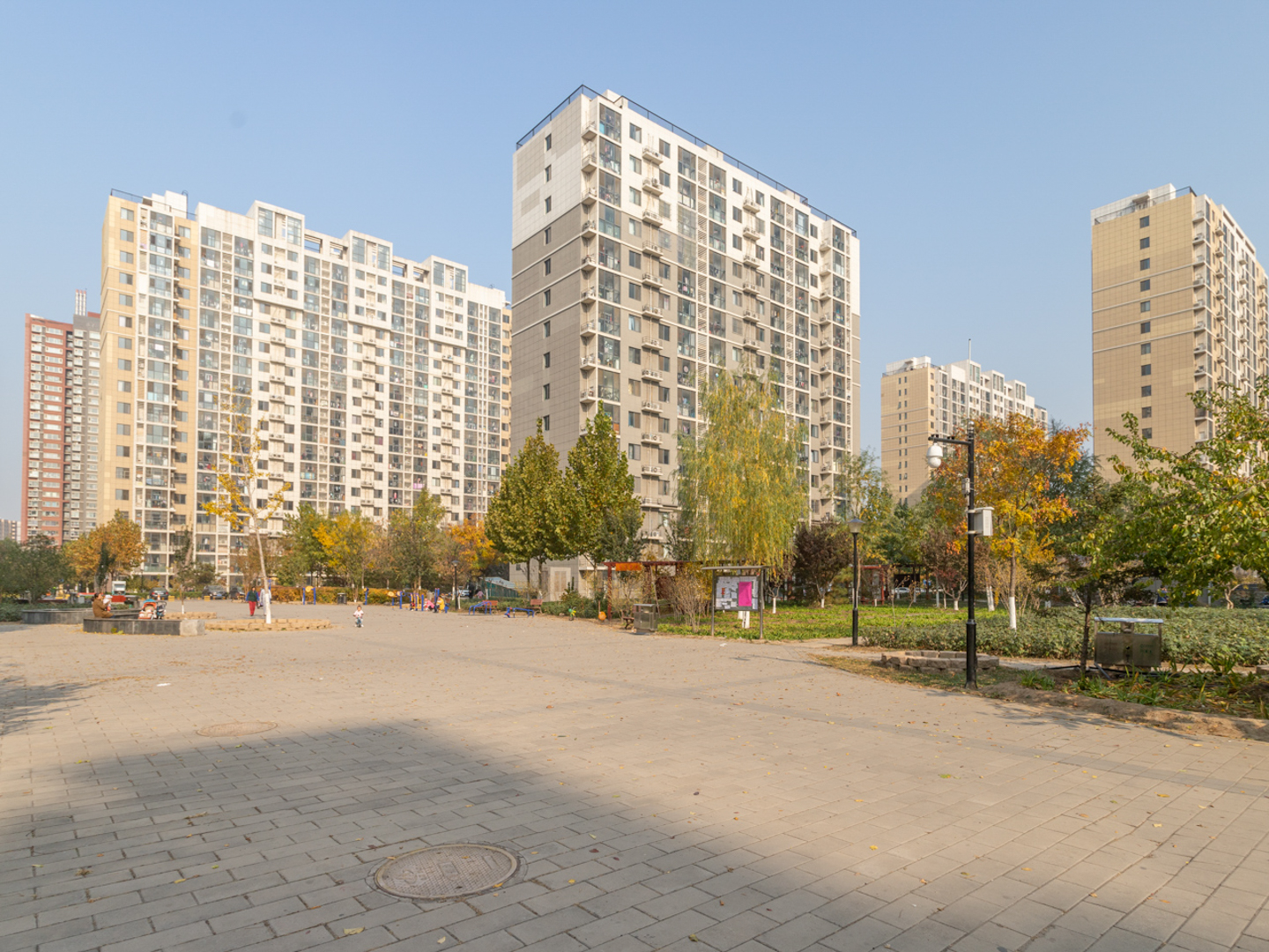 实景图