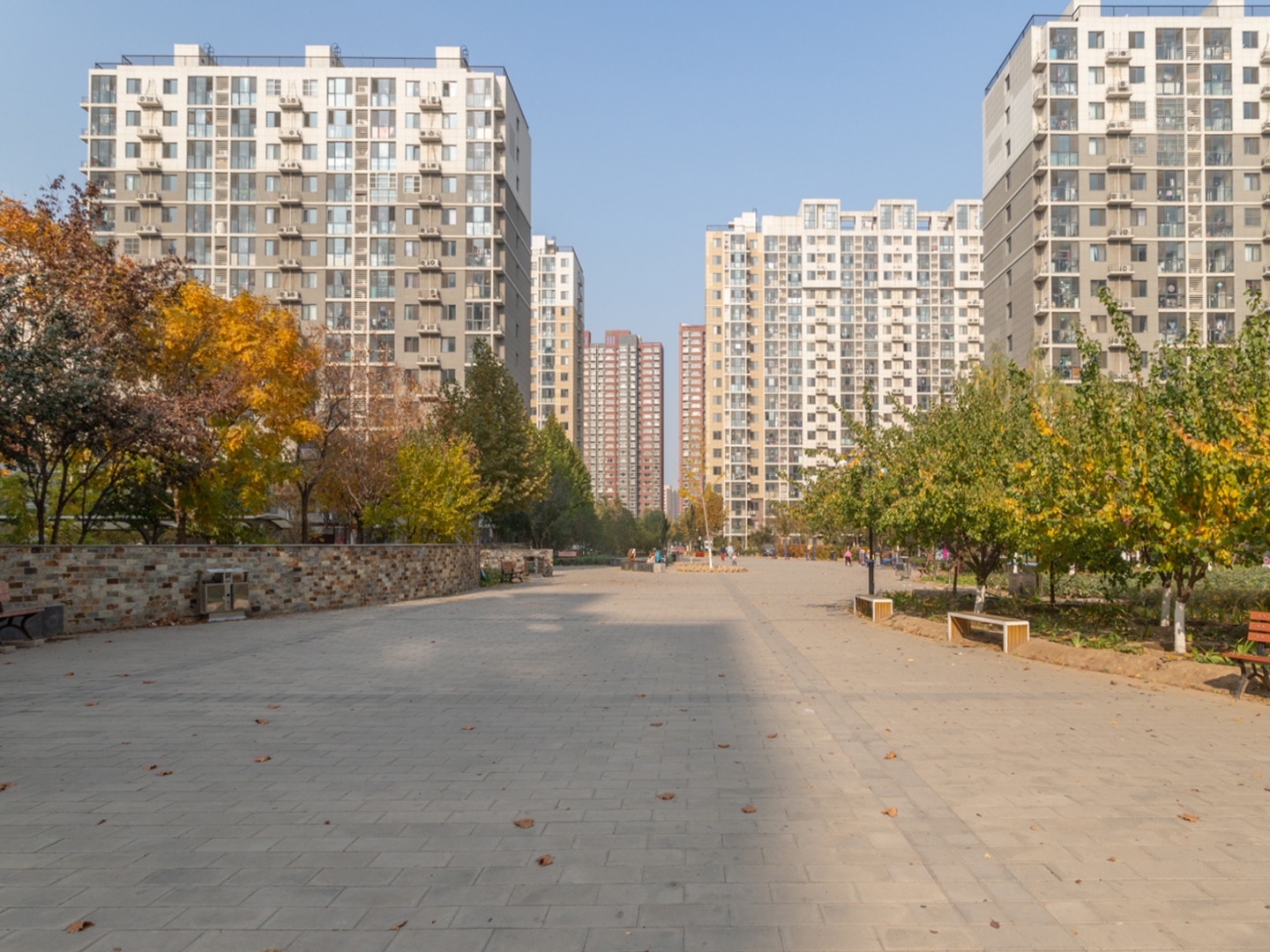 实景图