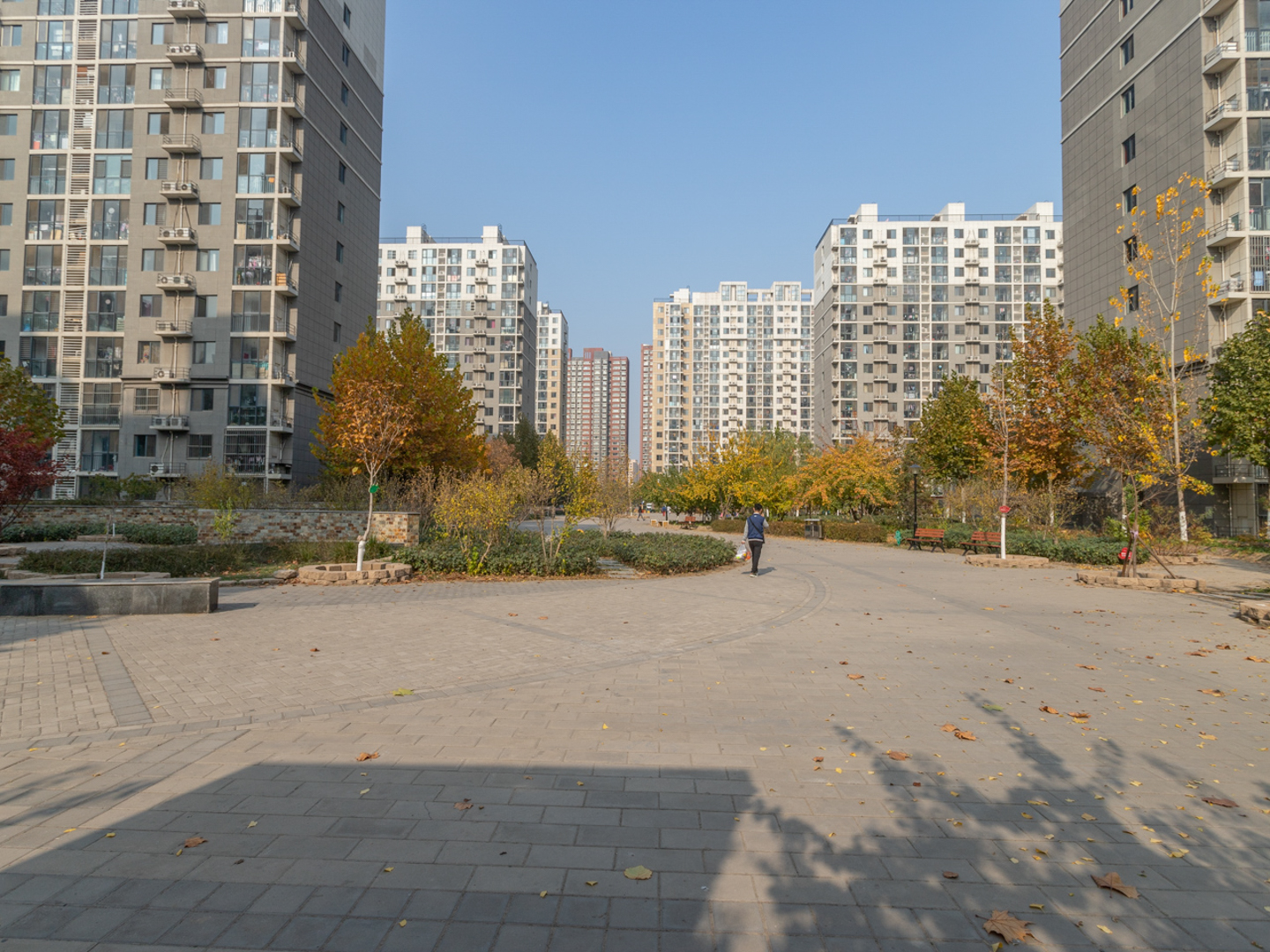 实景图