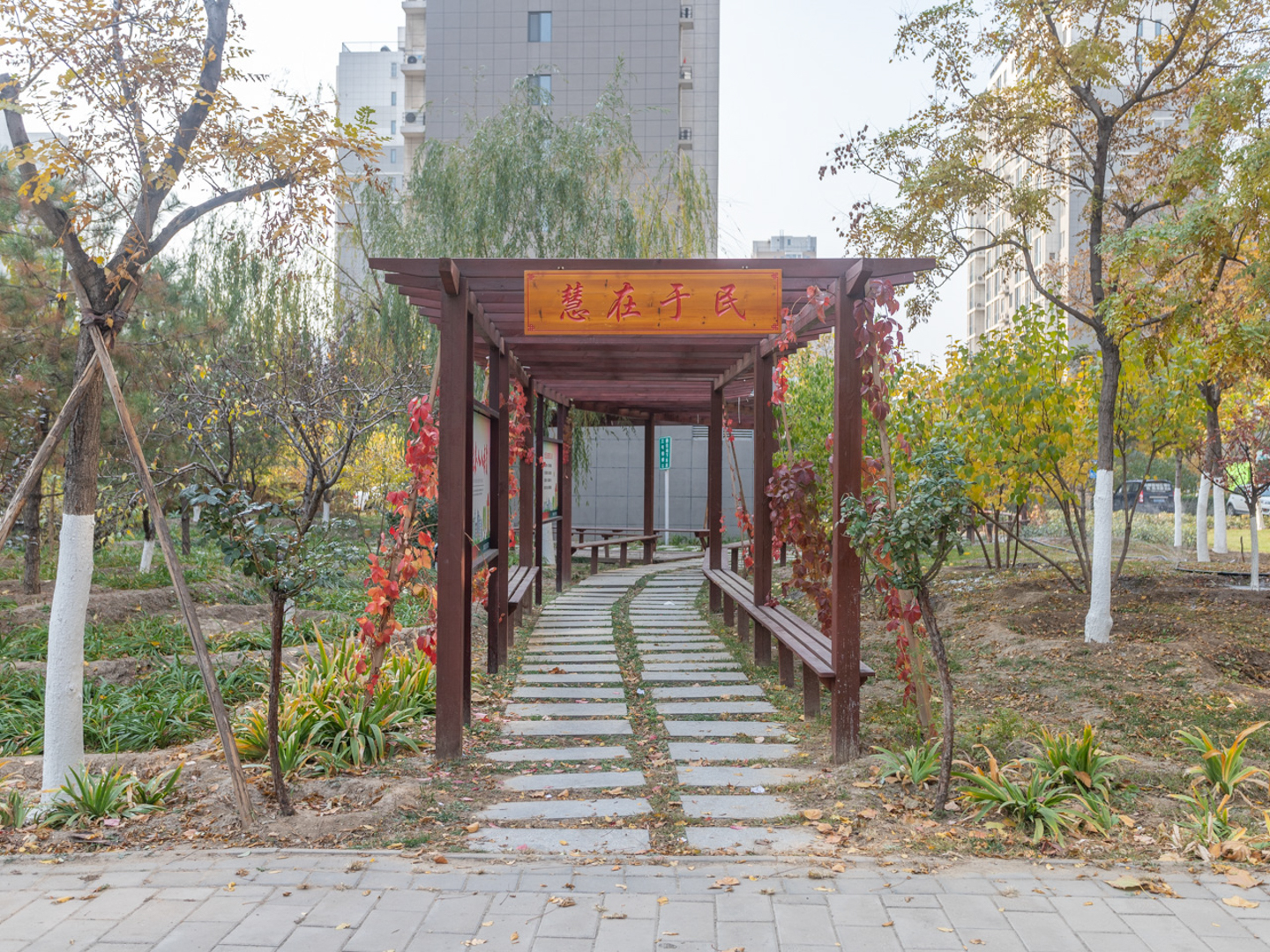 实景图