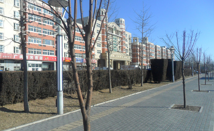 实景图