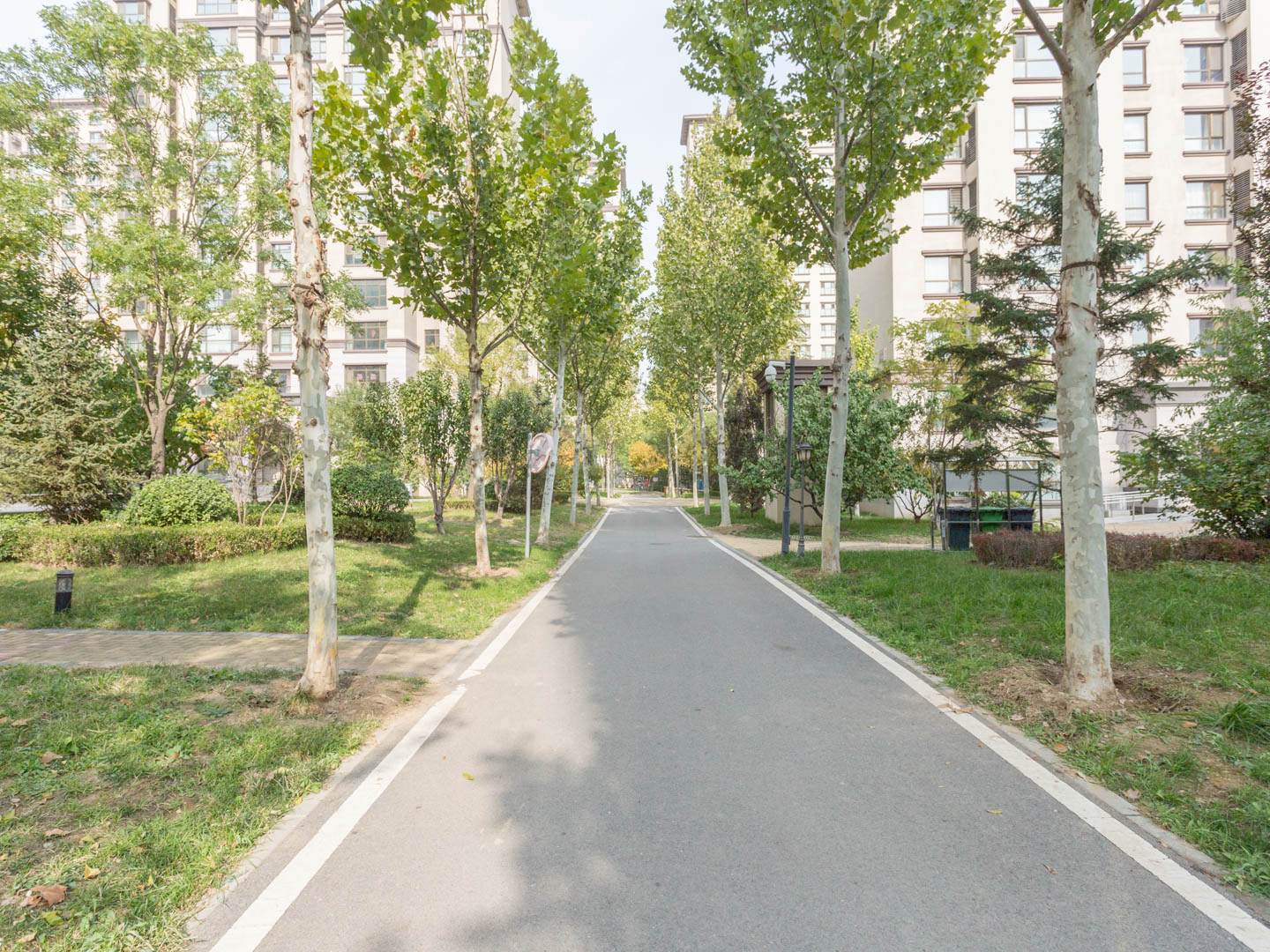 实景图