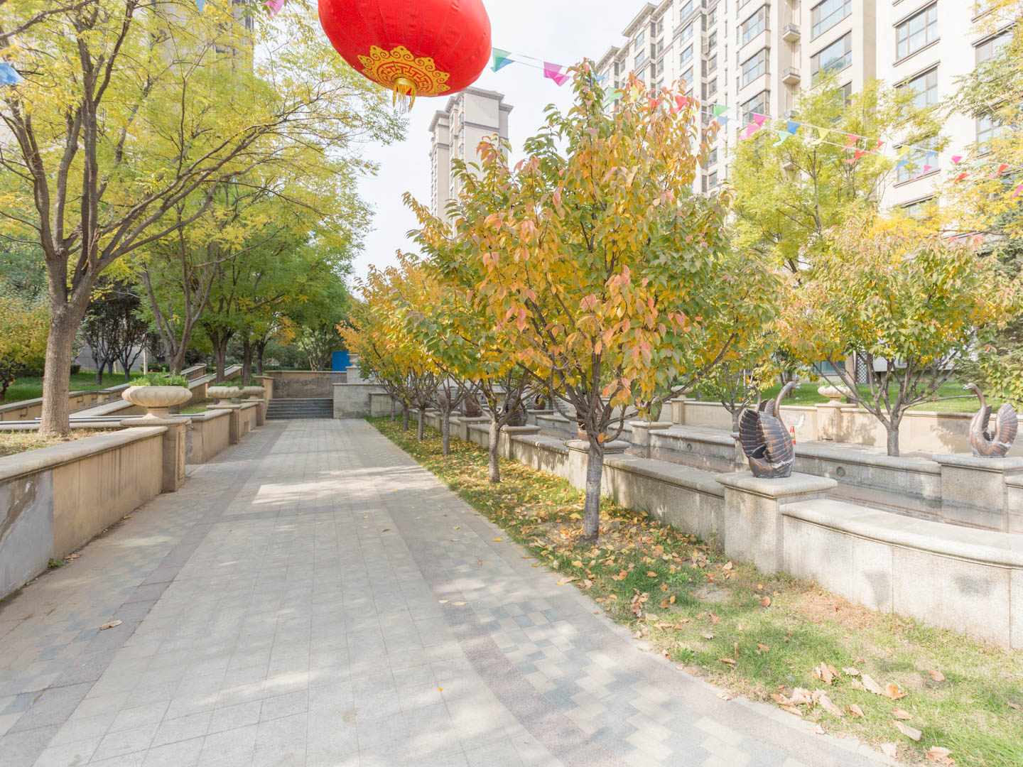 实景图