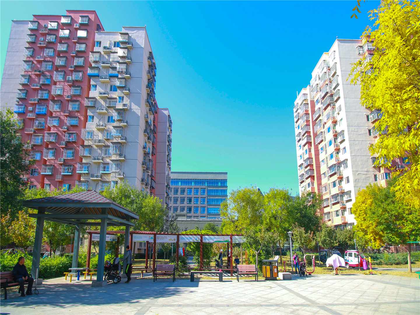 实景图