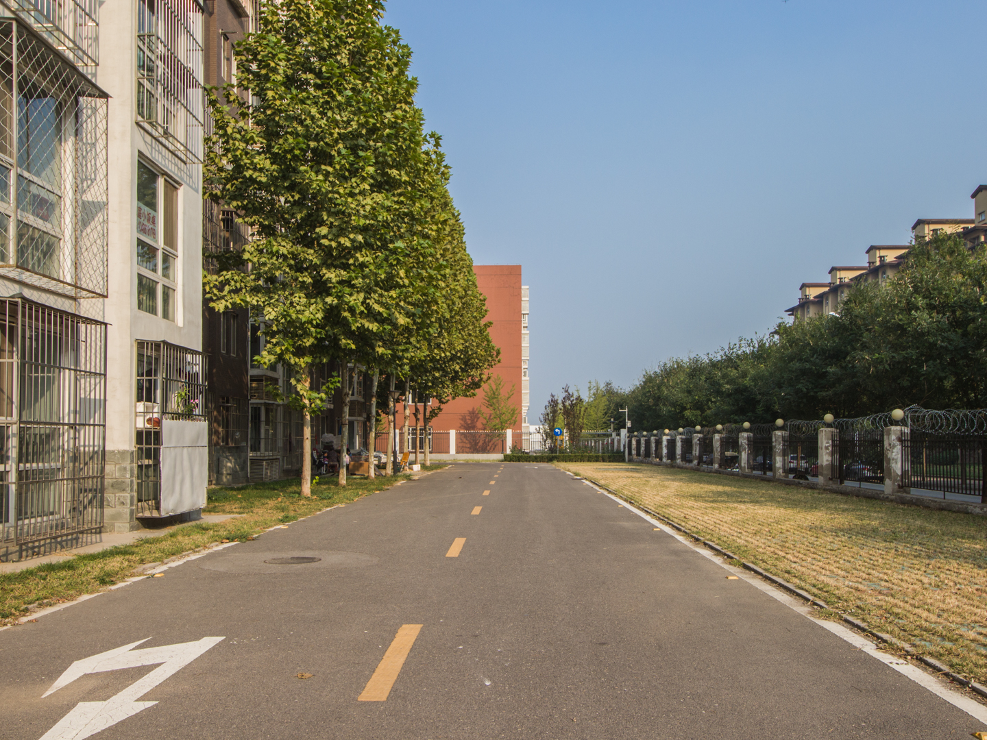 实景图