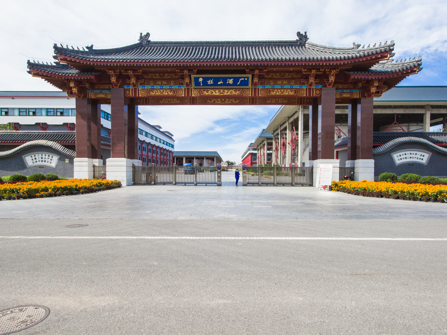 实景图