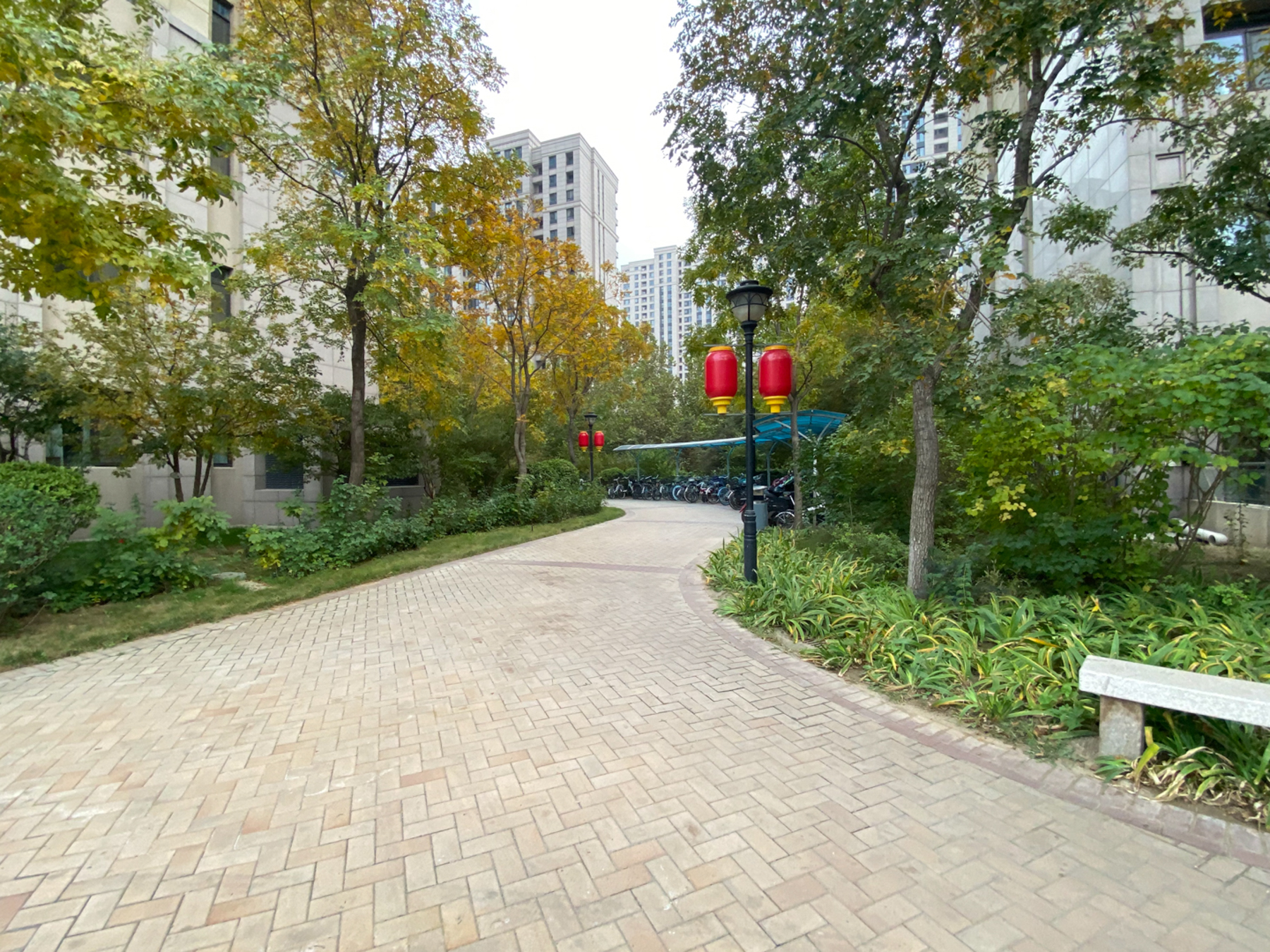 实景图