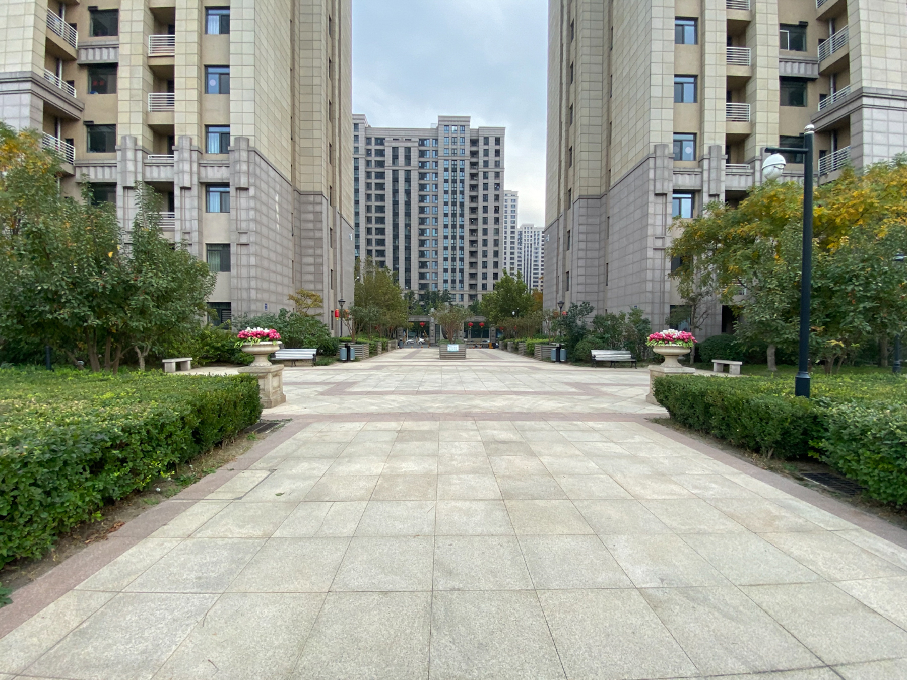 实景图