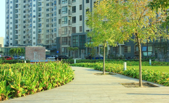 实景图
