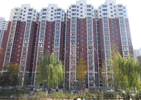 实景图