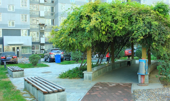 实景图