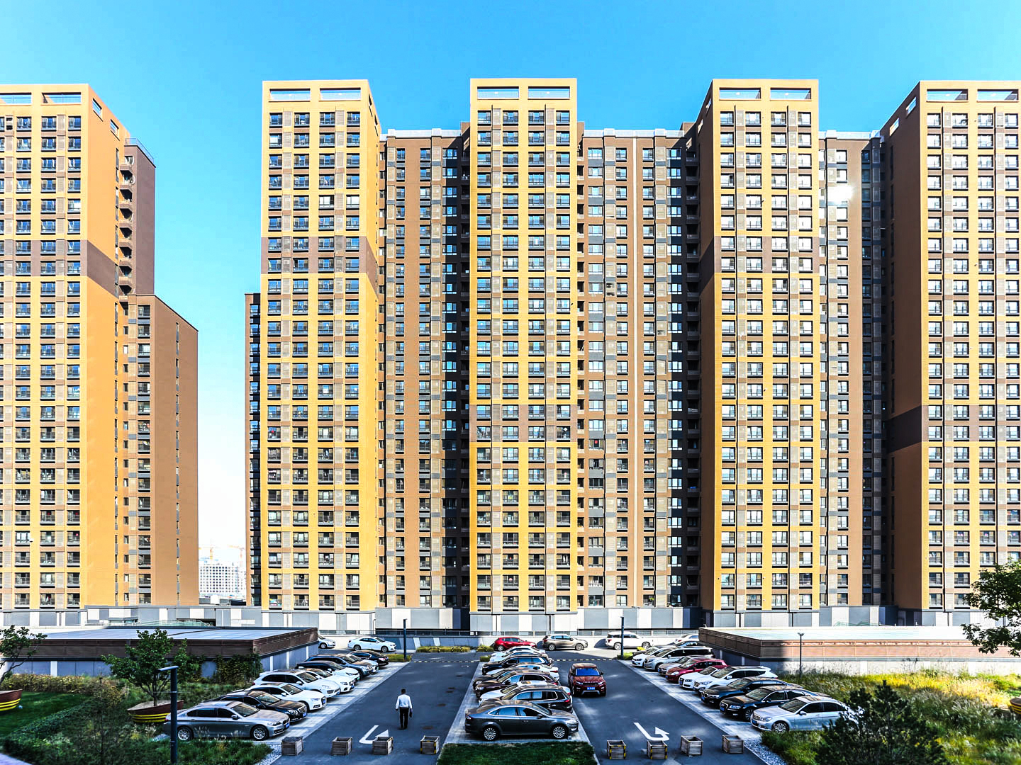 实景图