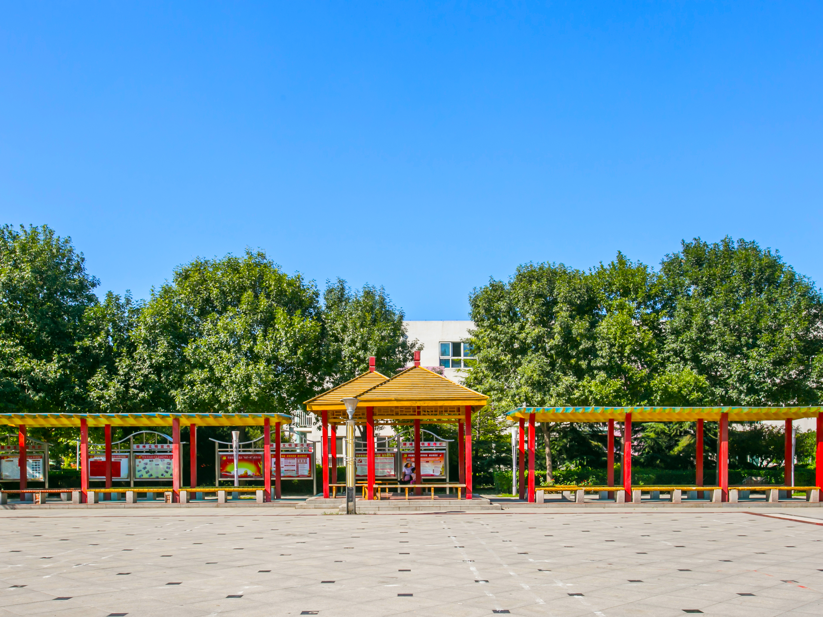 实景图