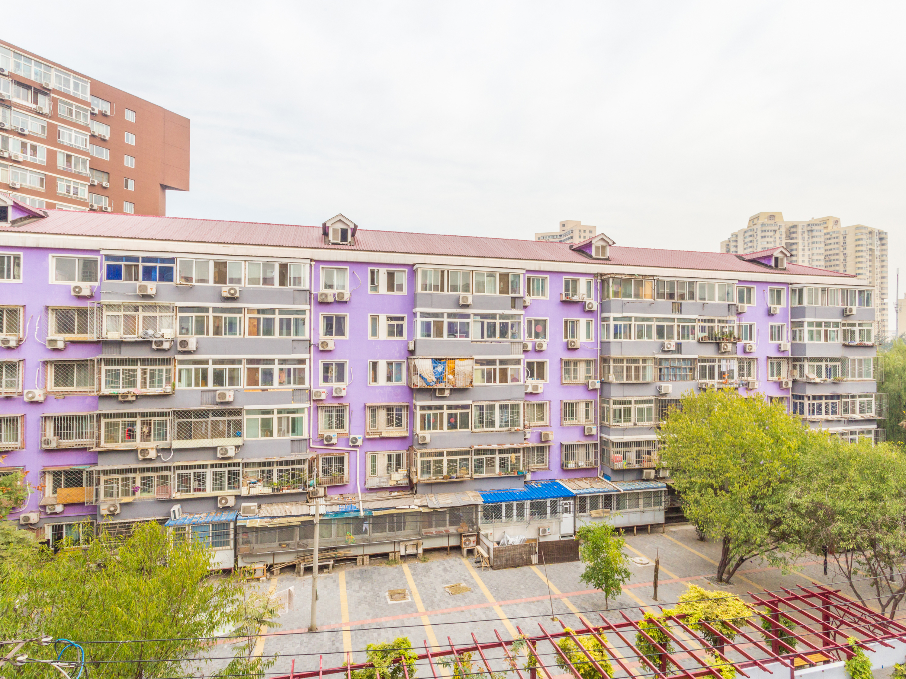 实景图