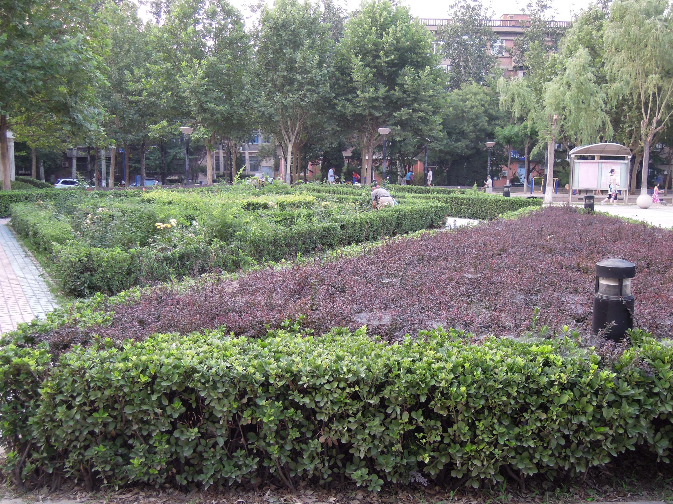 实景图