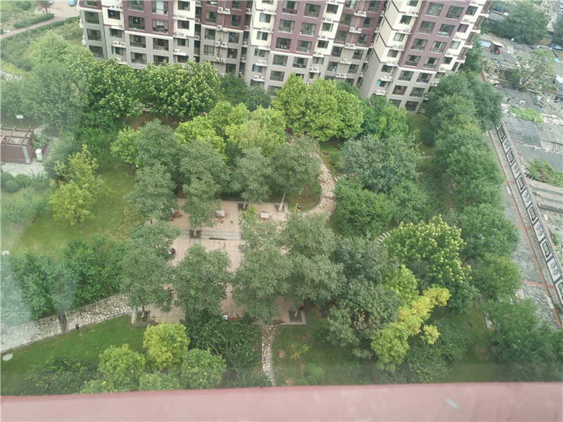 实景图