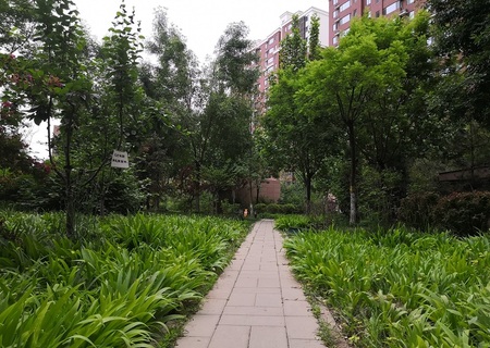 实景图