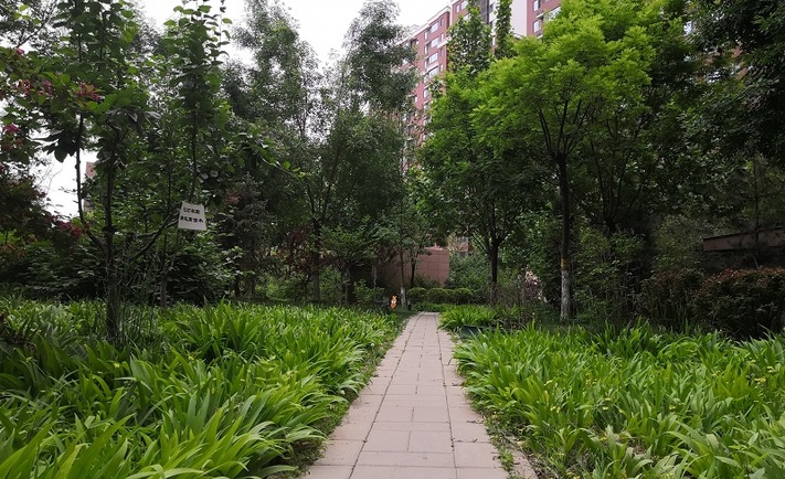实景图