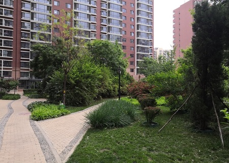 实景图