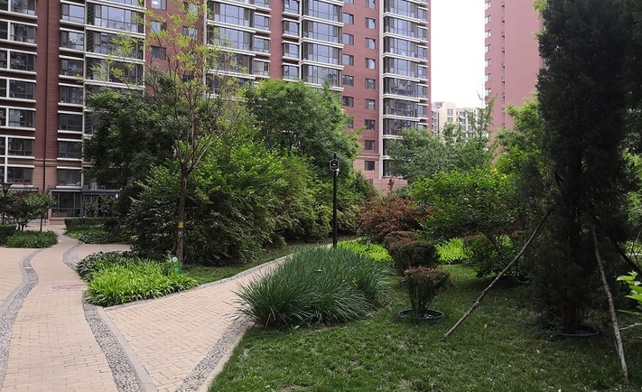 实景图