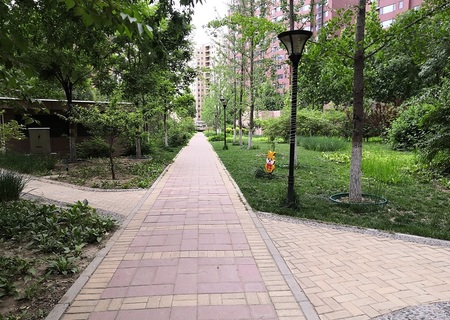 实景图
