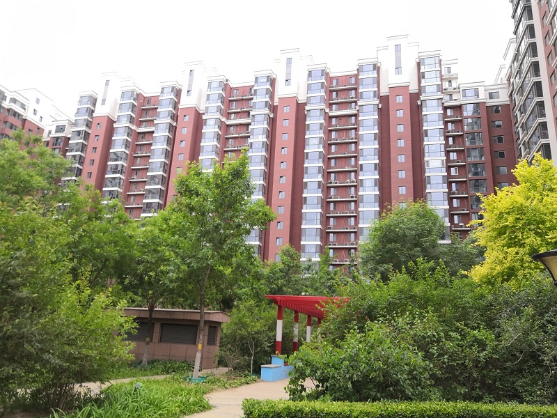 实景图