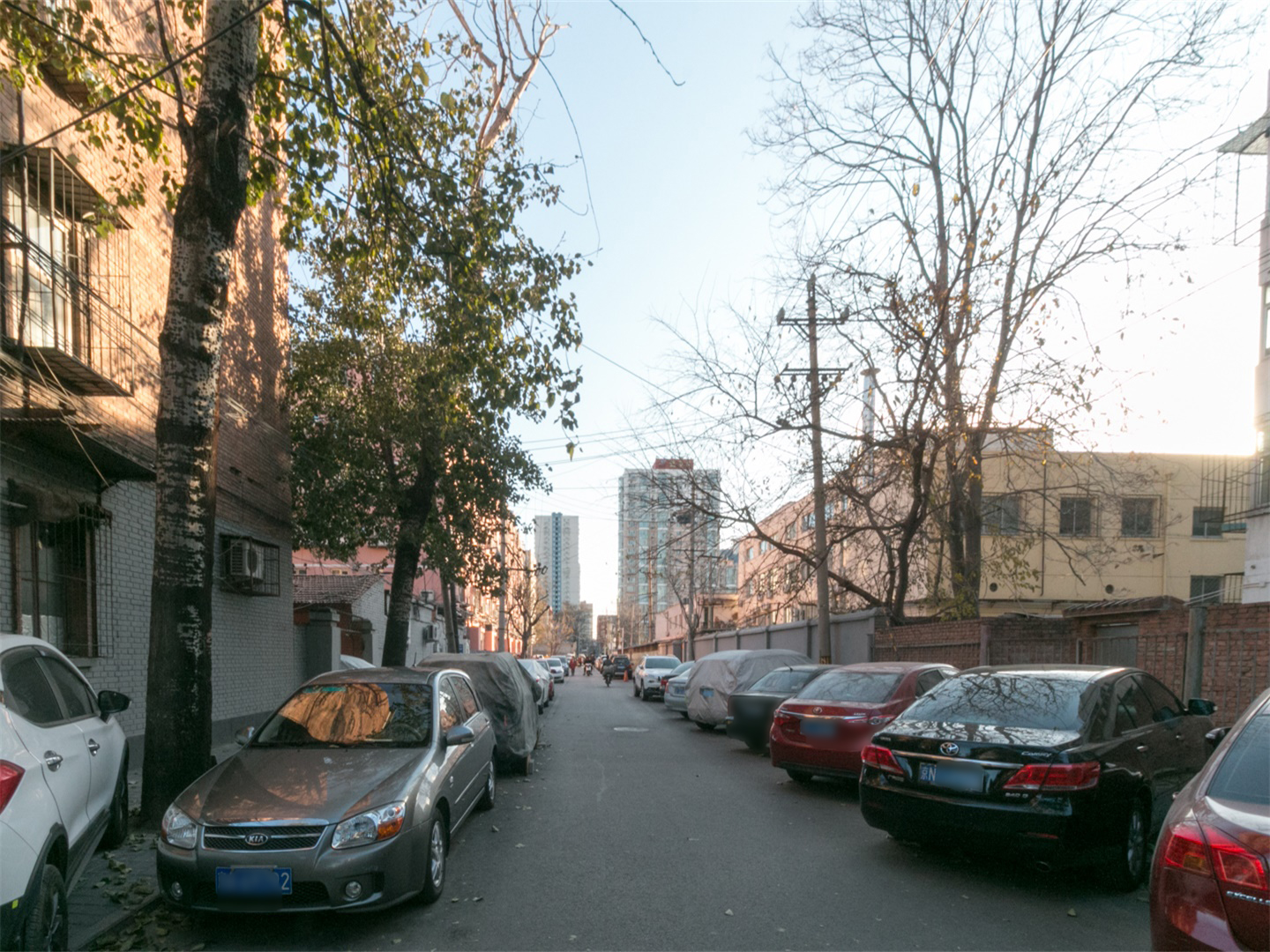 实景图