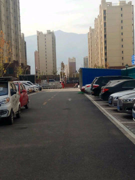 实景图