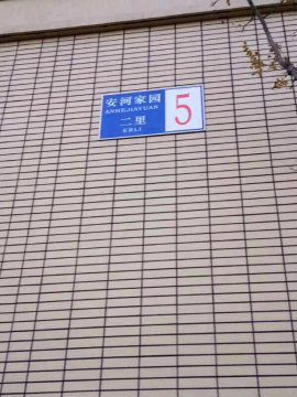 实景图