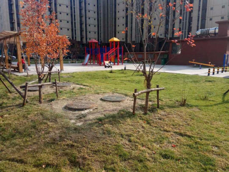实景图