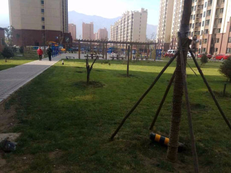 实景图