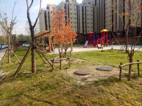 实景图