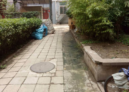 实景图