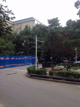 实景图