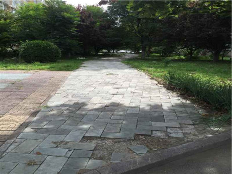 实景图