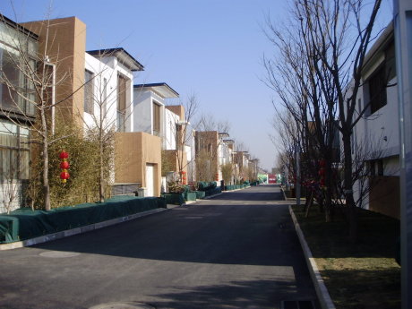 实景图