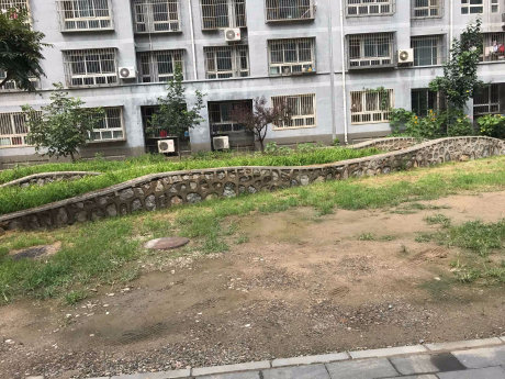 实景图