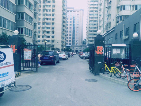 实景图