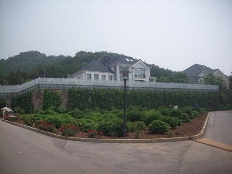 实景图