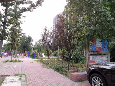 实景图
