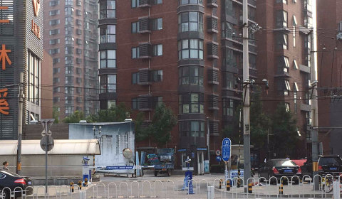实景图