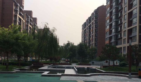 实景图