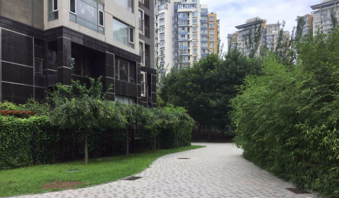 实景图