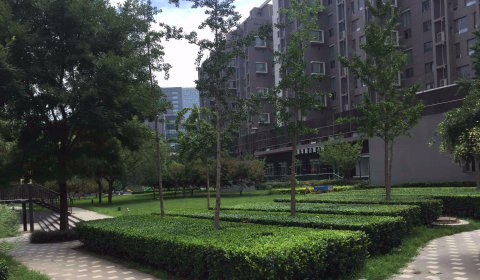 实景图