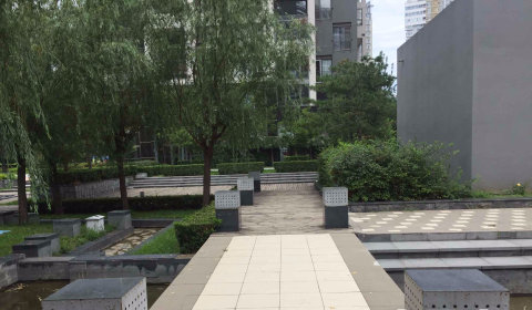 实景图