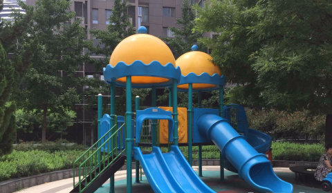 实景图