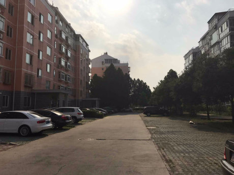 实景图