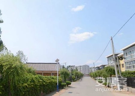实景图