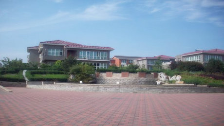 实景图